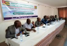 La Diaspora Togolaise pour le Développement sactive pour une contribution effective au développement socioéconomique du Togo