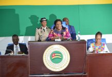 Togo: Ce qu’il faut retenir de la deuxième séance de la première session ordinaire de l’Assemblée nationale.