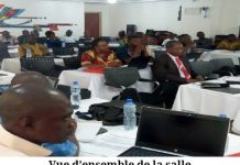 Vers la mise en place d’une micro planification du traitement de masse intégré contre les maladies tropicales négligées 2019.