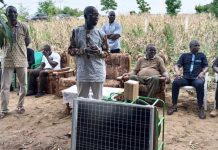 Togo: Le PPAAO au chevet des maraîchers de Kantini.