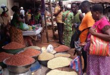 Togo : Que retenir de l’évolution des prix mensuels des produits agricoles sur les marchés ces dernières semaines?