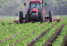 Togo : le fonds Khalifa, un partenaire de taille pour la modernisation de l’agriculture