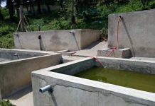 Togo: le PASA finance l’installation d’une écloserie de tilapia, pour soulager les pisciculteurs de Kouma Konda.