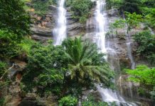 Togo/Tourisme : la cascade de Womé, bientôt dans un cadre verdoyant.