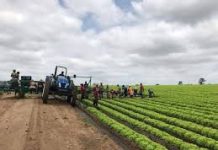 PTA-Togo : Près de 1072. 940 bénéficiaires directs et indirects visés.