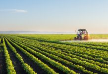 Agriculture : PTA-Togo, un projet pour accélérer la réduction des importations alimentations.