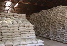 Sécurité alimentaire : le Togo marche sur les pas de l’ARAA