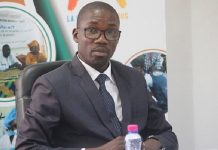 Togo : Pour exprimer vos besoins en main d’œuvre, Entrepreneurs agricoles, Inscrivez-vous !