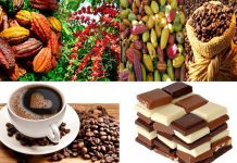 Agriculture : Grâce au PASA des acteurs travaillent en synergie pour rehausser la compétitivité.