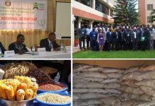 ARAA : Des rendements prometteurs et profitables à toute la CEDEAO, sous les ordres du Togo.