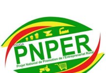 Togo : Une année de plus pour le PNPER.