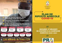 Covid-19 : Le Togo lance un plan de riposte spécifique au secteur agricole.