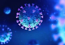 Covid-19 : le bilan a grimpé ce lundi avec huit nouveaux cas.