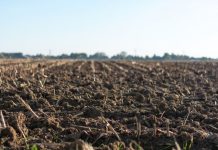 Togo : près de 35.194 milliards FCFA pour le développement des agropoles.