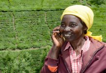 Togo : le gouvernement veut porter à 5% la part des crédits bancaires alloués au secteur agricole à l’horizon 2027.