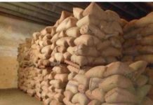 Togo : Grâce au PASA la coopérative Scoops Gnabana est passée de 20 à 40 bols de Karité produits par semaine.