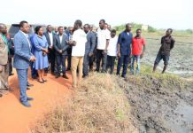 Agriculture : Le Togo va renforcer les chaînes de valeurs en ressources humaines