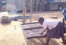 Togo : Le prix du panier du petit poisson doublé !