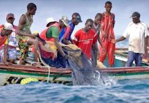 Togo : Le Plan de gestion des pêcheries a changé la vie des acteurs à Nangbéto.