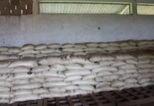 Campagne agricole 2020-2021: Le gouvernement déploie100 000 tonnes d’engrais vivriers.