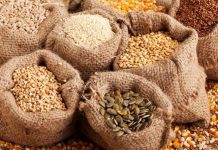 Togo : 70.000 tonnes d’excédents céréaliers, au terme de la campagne agricole 2019-2020.