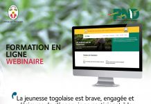 Créer ou développer leurs entreprises en agrobusiness, à la découverte du programme de formation en ligne.