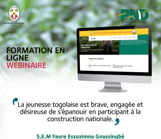 Créer ou développer leurs entreprises en agrobusiness, à la découverte du programme de formation en ligne.