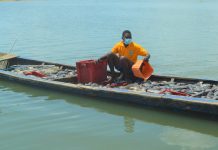 MAPAH : Près de 10.000 emplois directs, indirects et temporaires sauvés grâce au plan de riposte agricole.