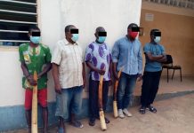 Trafic d’espèces protégées : 5 présumés trafiquants d’ivoire déférés ce vendredi à la prison civile de Lomé