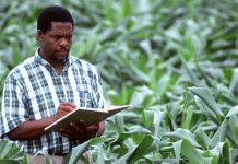 Togo/Covid-19 : des kits pour soutenir les producteurs agricoles.