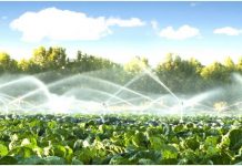 Togo/Agriculture : le MIFA veut inculquer la pratique de l’irrigation dans les habitudes.