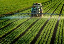 Togo : le secteur agricole choyé, des agriculteurs protégés
