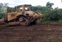 Togo : un nouveau plan d’actions pour le secteur agricole