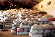 Agri-PME, autre solution innovante au service des agriculteurs togolais