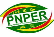Qui peut bénéficier de l’appui du PNPER ?