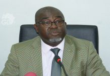 Togo : l’agriculture sera toujours choyée