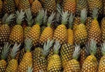 Filière d’ananas : une filière amélioratrice du bien-être social