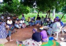 Développement à la base : des groupements d’intérêt économique aidés