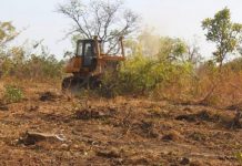 Togo : les Zaap pour zapper la pauvreté