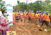 Les Thimo, opportunité dorée pour les jeunes en mesure de travailler