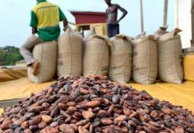Le Pasa a tiré des Togolais vers le haut