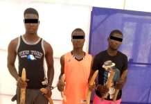 Togo : 3 présumés trafiquants arrêtés en possession de huit défenses d’éléphants déférés à la prison civile de Kara