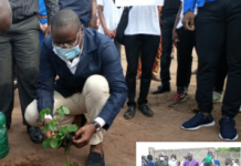 Journée nationale de l’arbre : Kamal Adjayi et Kayi Mivédor ont fait leur part