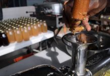 Bientôt une usine de transformation du gingembre à Gbadi-N’kougna (Préfecture de Wawa)