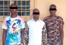 Togo/justice : légère sanction contre trois trafiquants d’ivoire