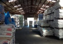 La campagne agricole 2021-2022 profite bien aux producteurs togolais