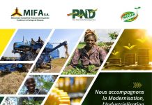 La vie des acteurs agricoles trois années après la création du Mifa