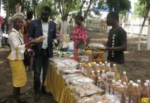 Le Togo tourné davantage vers l’agriculture bio et ses bienfaits
