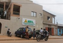 Agriculture/Togo : le Mifa et les ambitions