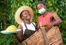 Togo : zoom sur les résultats engrangés par le PAEIJ-SP